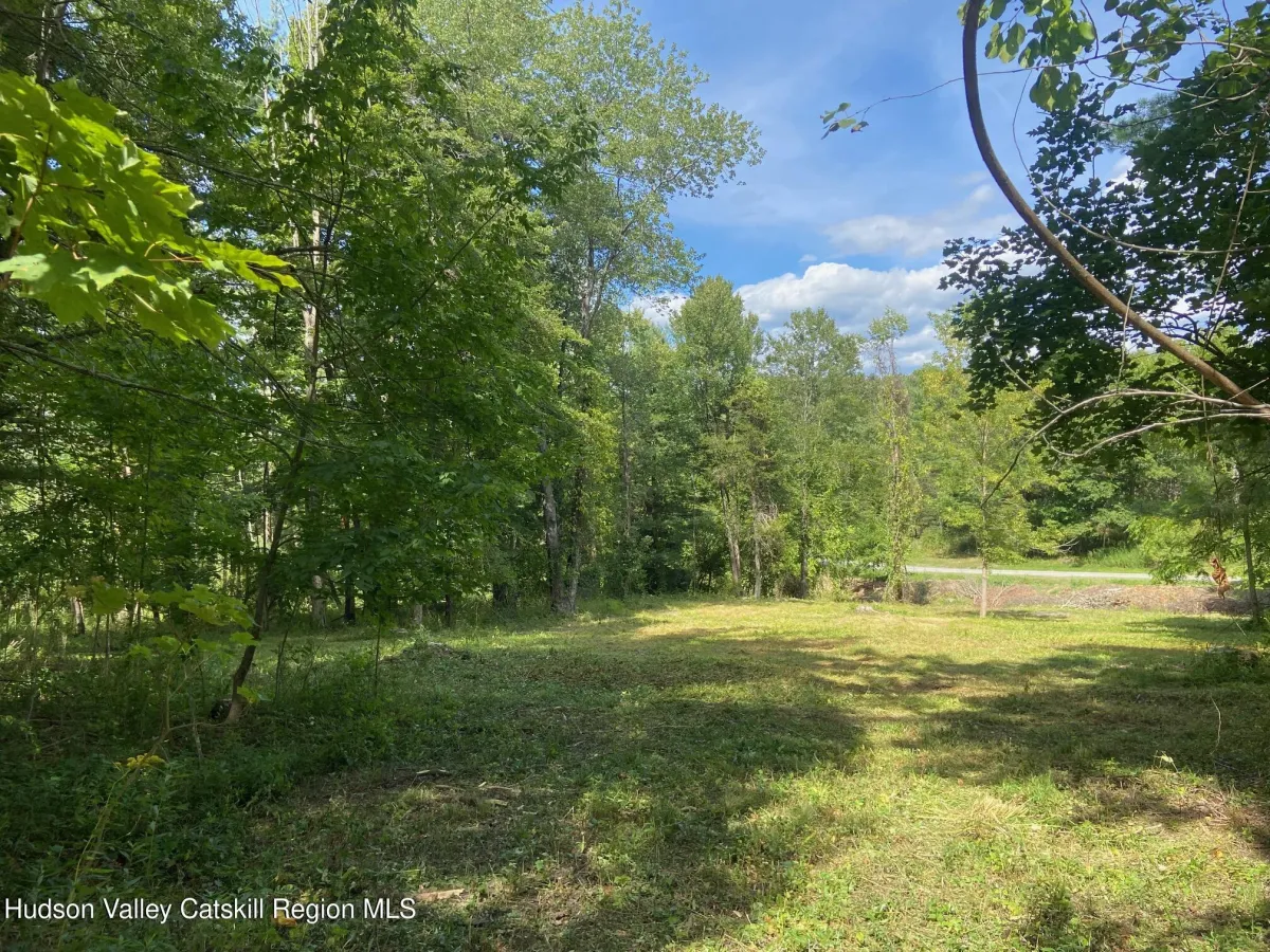 Thomas Bryson Rd Thomas Road, Craryville NY — $149K | Elyse Harney Real Estate